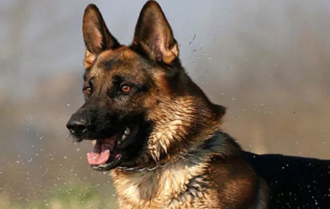 f7b85694-7b55-47df-9ef2-50792059a0e5